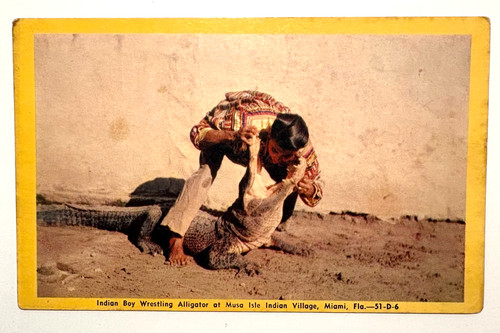 Indian boy wrestling alligator - boy,